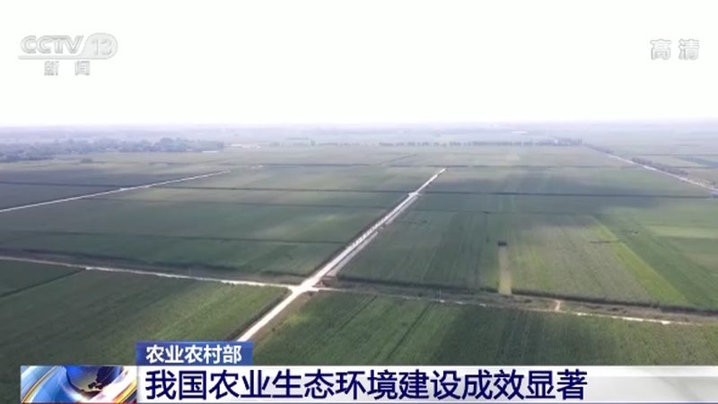 成都小型农产品批发商起步攻略：从选址到运营关键点