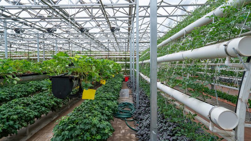 生鲜配送收费标准通常由以下几个方面构成：