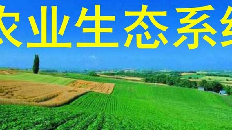 农产品批发市场质量安全标准全解析**