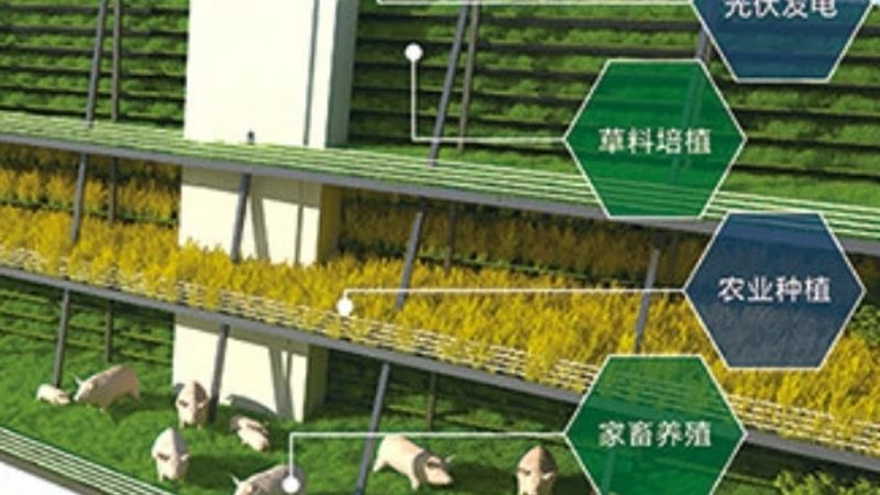 农资加盟，如何选择十大品牌？关键在于这些标准**