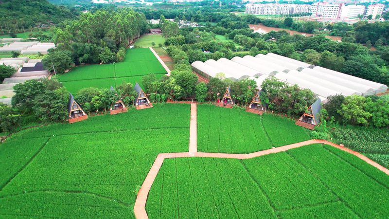大棚智能改造与普通升级：升级背后的技术革新**