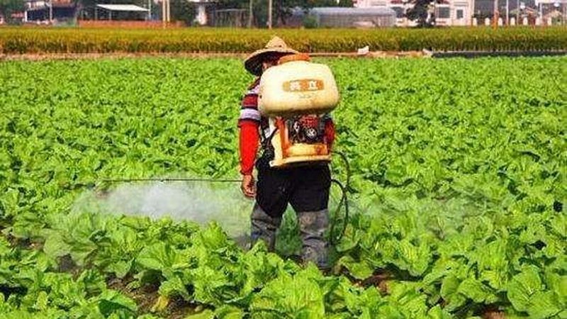 农产品线上线下融合软件：构建现代农业新生态