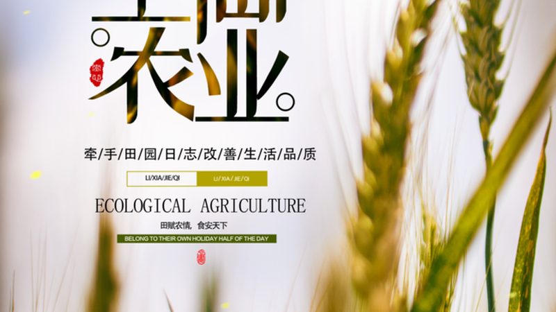 农资集采定制服务，揭秘高效农业的秘密武器